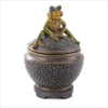 FRIENDLY FROG TRINKET BOX (WFM-38455)