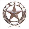 TEXAS STAR WALL PLAQUE (WFM-38595)