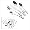 SIMPLY SERENITY 20-PC FLATWARE (WFM-38744)