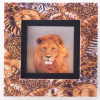 LION SHADOW BOX FRAME PLAQUE