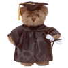 GRADUATION CAP & GOWN TEDDY