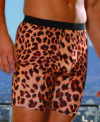 LEOPARD BOXER SHORTS