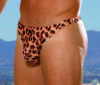 LEOPARD THONGS