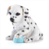 ALAB DALMATIAN PUPPY