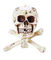 Skull on Bone Tripod