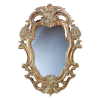 Antique Gold Finish Wall Mirror