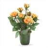 ORANGE ROSES IN POT