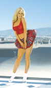 School Girl 2pc. costume includes a pleated mini skirt in plaid cotton & a red mesh cami top. 
