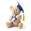 GRADUATION MESSAGE PLUSH BEAR