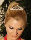 RHINESTONE TIARA (LIN-115PJ1356)