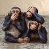 See, Hear, Speak No Evil Happy Monkeys