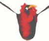 ROOSTER POUCH