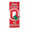 OHIO STATE DOOR FLAG