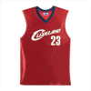 LEBRON JAMES JERSEY-X LARGE