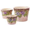 3 PC PANSIES POTS SET