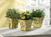 FLOWER PRINT POT SET (ZFL07-35630)