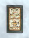 FRESHWATER FISH SHADOWBOX (ZFL07-33936)