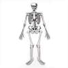 GLOW-IN-THE-DARK SKELETON PUZZLE (ZFL07-37668)