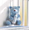 IT'S A BOY! TEDDY BEAR (ZFL07-37105)