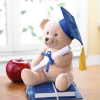 GRADUATION PLUSH BEAR (ZFL07-36703)