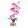 ORCHID IN GLASS VASE (ZFL07-36067)
