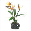 DISCONTINUED BIRD OF PARADISE DISPLAY (ZFL07-36596)