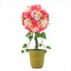 ROSE TOPIARY (ZFL07-38249)