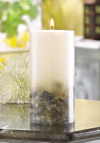 SEASHELL CANDLE (ZFL07-38306)