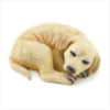 WHITE LABRADOR PUPPY FIGURINE (ZFL07-36992)