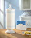 NAPKIN HOLDER & PAPER TOWEL STAND (ZFL07-33138)