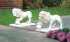 STATELY LION STATUE DUO (ZFL07-31640)
