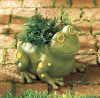 FROG CONTAINER (ZFL07-37757)