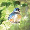 BABY BLUEBIRD LANTERN (ZFL07-37825)