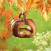 PUMPKIN BIRDFEEDER (ZFL07-38294)