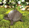 TURTLE KEY HIDER (ZFL07-37310)