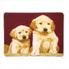 DOG FLEECE BLANKET (ZFL07-37247)