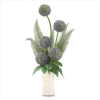 ALLIUM WITH FERN IN POT (WFM-38250)