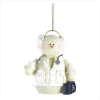 SNOWBERRY CUTIES DOCTOR (WFM-38322)