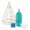 WINTER FROST BATH SET /BASKET (WFM-38243)